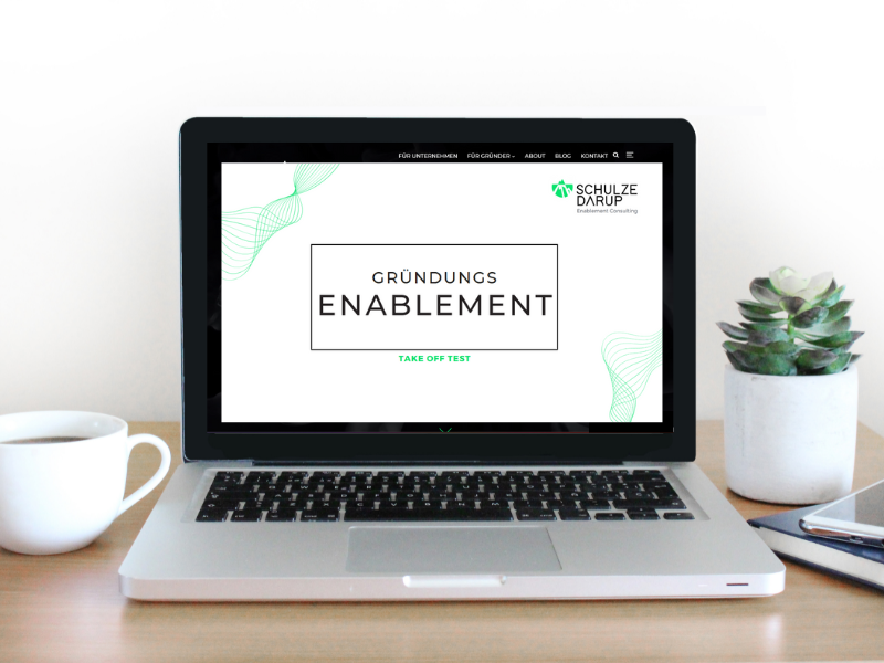 SARAH SCHULZE DARUP | ENABELMENT CONSULTING, Test Teaser